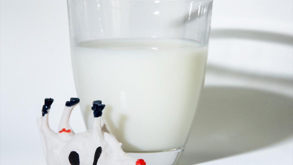 Czy picie mleka jest zdrowe? 